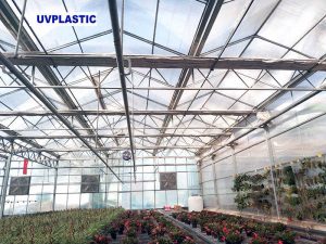 UVPLASTIC Polycarbonate greenhouse project