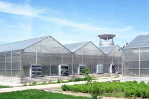 Manufakteur für Polycarbonate Grünhaus sheet in China